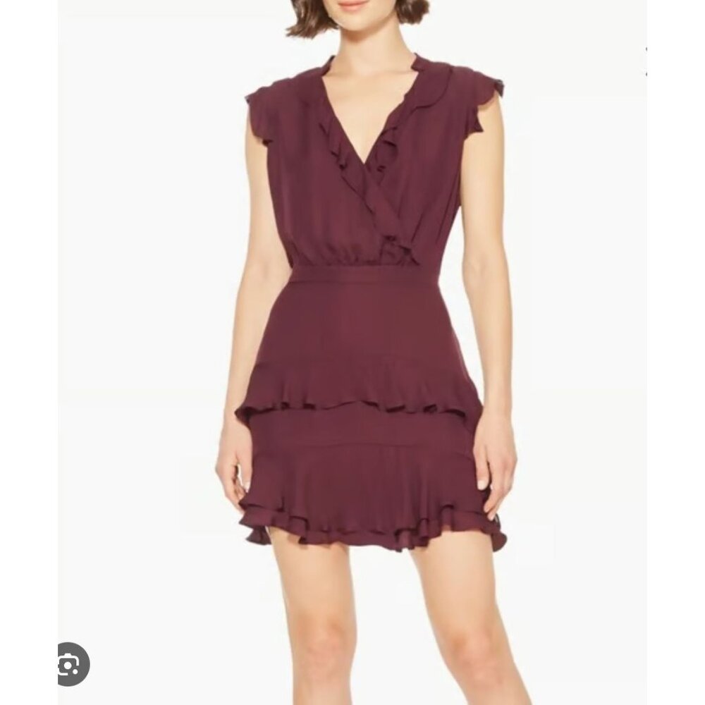 NWT Parker Tangia Ruffle Detail Minidress in a maroon color, Style P9H4465GE, 8